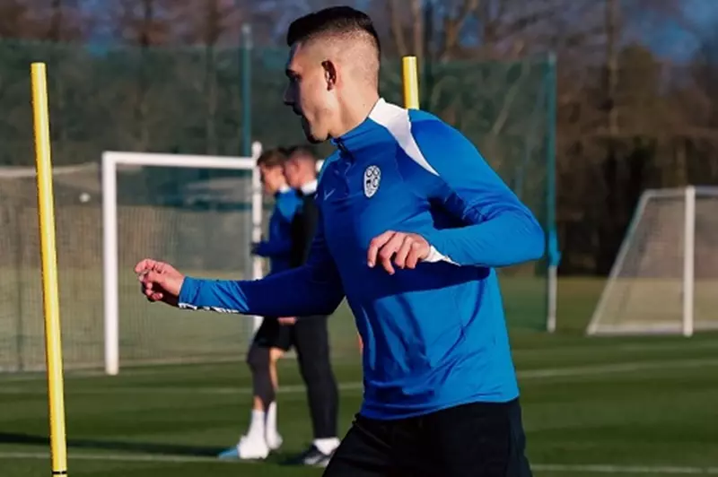 بعد السوبر.. جراديشار ينضم لتدريبات سلوفينيا